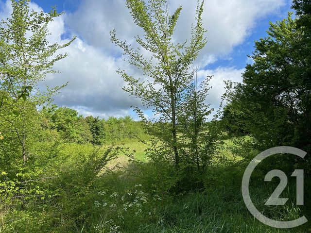 terrain à vendre - 1500.0 m2 - LA SAUVETAT SUR LEDE - 47 - AQUITAINE - Century 21 Bastien Gonzalez