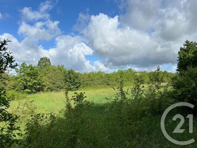 terrain à vendre - 1500.0 m2 - LA SAUVETAT SUR LEDE - 47 - AQUITAINE - Century 21 Bastien Gonzalez