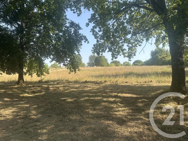 terrain à vendre - 30000.0 m2 - VILLENEUVE SUR LOT - 47 - AQUITAINE - Century 21 Bastien Gonzalez