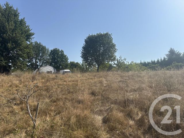 terrain à vendre - 30000.0 m2 - VILLENEUVE SUR LOT - 47 - AQUITAINE - Century 21 Bastien Gonzalez