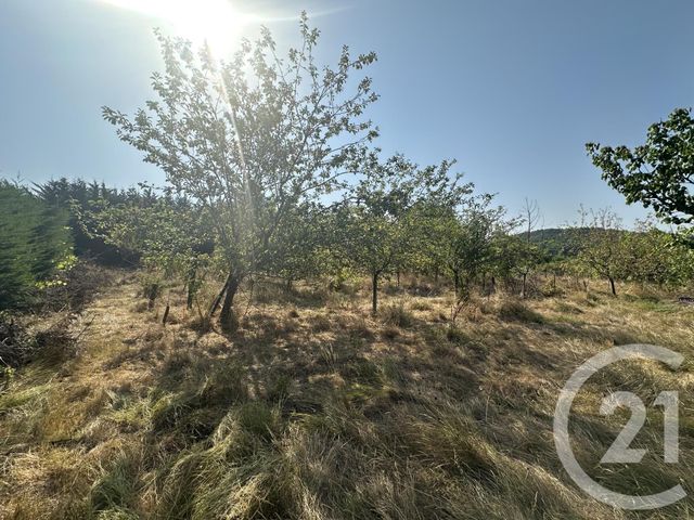 terrain à vendre - 30000.0 m2 - VILLENEUVE SUR LOT - 47 - AQUITAINE - Century 21 Bastien Gonzalez