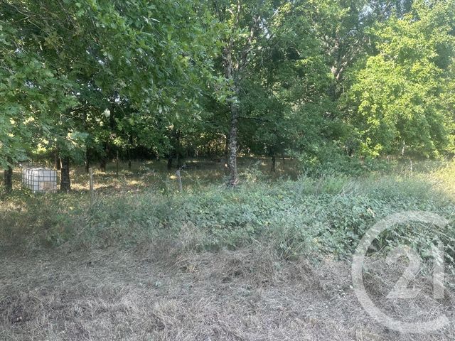 terrain à vendre - 30000.0 m2 - VILLENEUVE SUR LOT - 47 - AQUITAINE - Century 21 Bastien Gonzalez