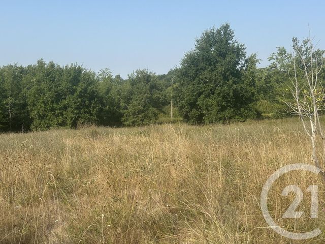 terrain à vendre - 30000.0 m2 - VILLENEUVE SUR LOT - 47 - AQUITAINE - Century 21 Bastien Gonzalez