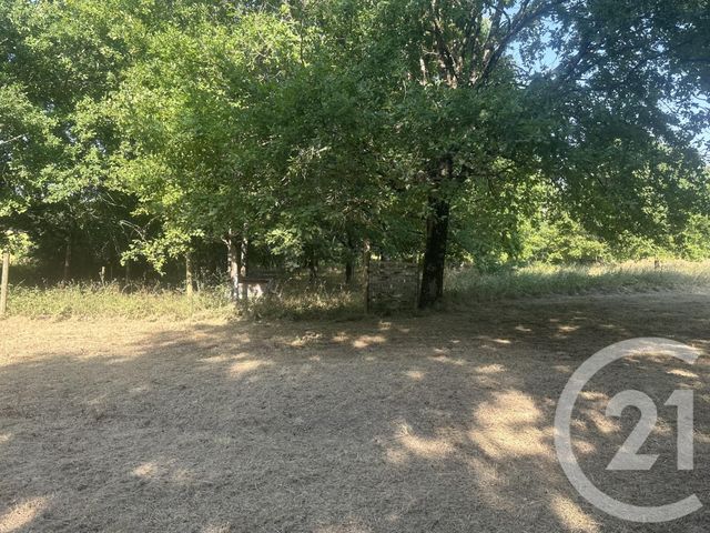terrain à vendre - 30000.0 m2 - VILLENEUVE SUR LOT - 47 - AQUITAINE - Century 21 Bastien Gonzalez