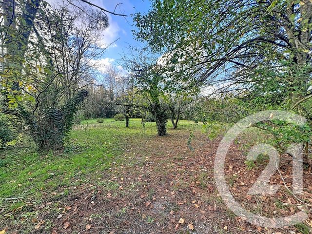 maison à louer - 10 pièces - 150.0 m2 - LE TEMPLE SUR LOT - 47 - AQUITAINE - Century 21 Bastien Gonzalez