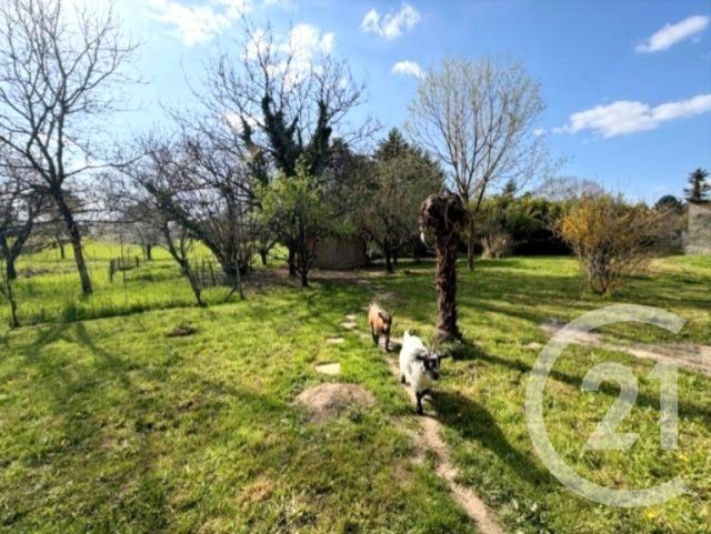 maison à vendre - 5 pièces - 134.39 m2 - LA SAUVETAT SUR LEDE - 47 - AQUITAINE - Century 21 Bastien Gonzalez