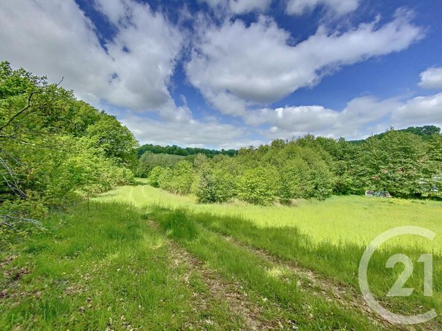 terrain à vendre - 13091.0 m2 - AURADOU - 47 - AQUITAINE - Century 21 Bastien Gonzalez